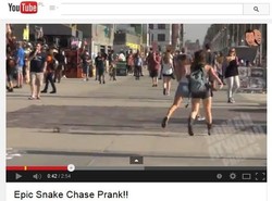 Wąż atakuje ludzi na ulicy [WIDEO]