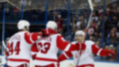 NHL: Zimowy Klasyk odbędzie się w 2014 roku