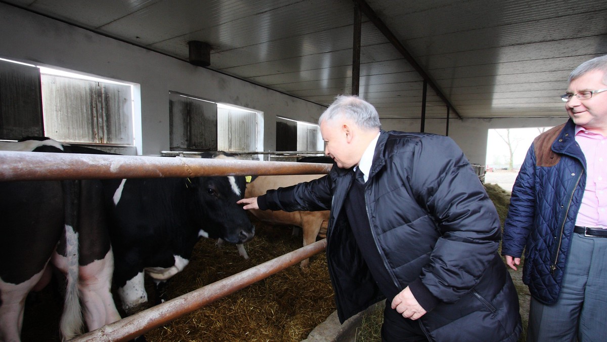 Jarosław Kaczyński, Ryszard Czarnecki