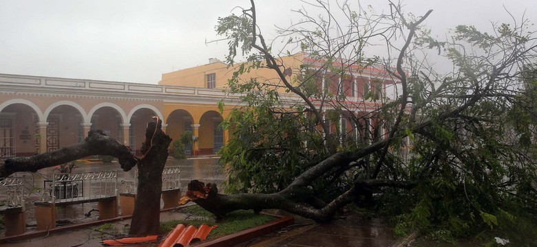 Huragan Irma sieje spustoszenie na Kubie. Wiatr wiejący nawet 256 km/h wyrywa drzewa, unosi całe budynki