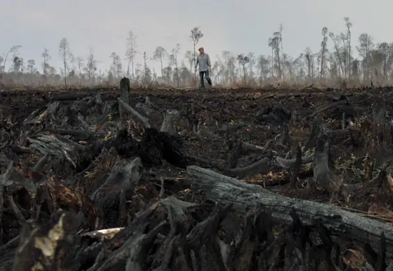 Czyste środowisko i stabilny klimat to prawo człowieka. Rozmowa z dyrektorem festiwalu WATCH DOCS