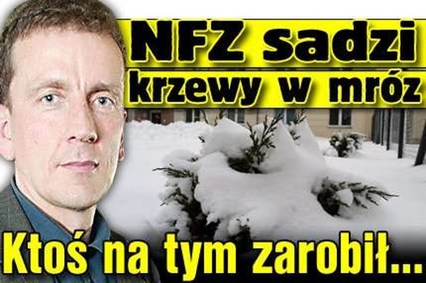 NFZ sadzi krzaki zimą. Ktoś na tym zarobił...