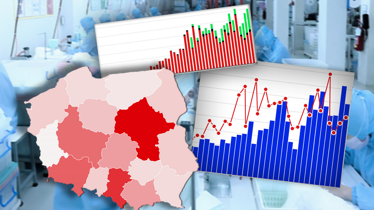 Koronawirus w Polsce i na świecie. Podsumowanie dnia - 6.05