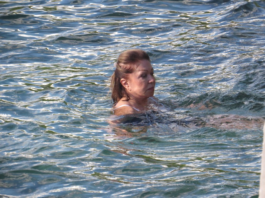 crna gora neda ukraden