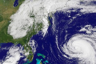 Huragan Ciara szaleje nad Francją. 130 tys. gospodarstw pozbawionych prądu