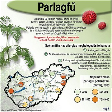 parlagfu-3-2-d00001116874965c36b1f