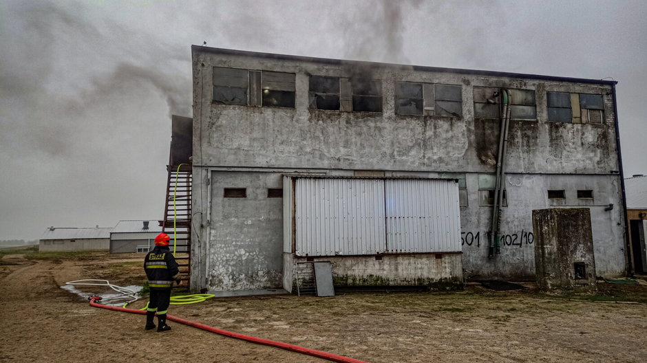 Pożar na terenie fermy w Będargowie