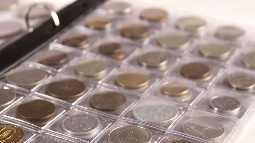 Wielka kolekcja monet odebrana polskiemu kolekcjonerowi