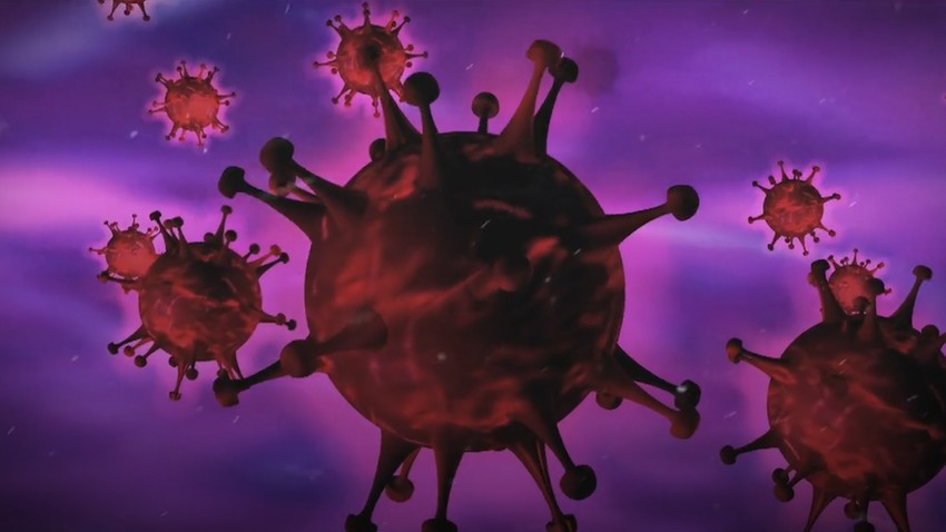 Ne postoji lek protiv ovog virusa