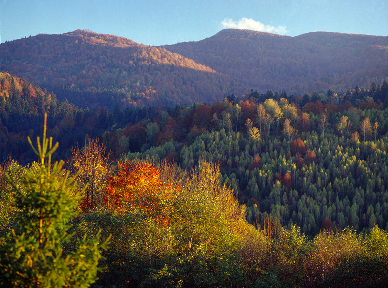 Bieszczady