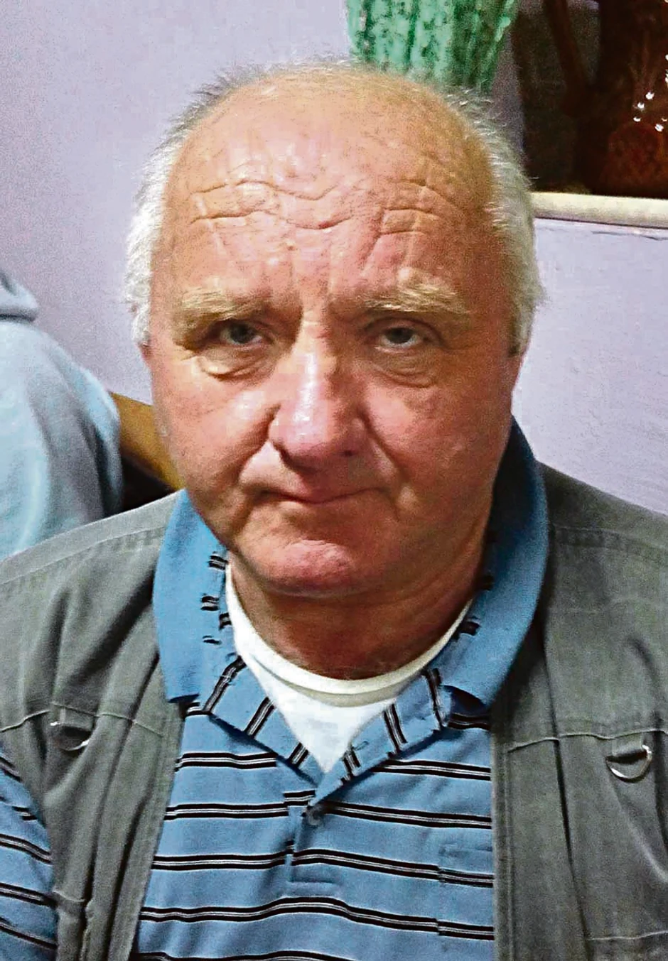 Desimir Bogdanović: Dim je strašan
