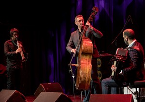 Nenad Vasilić Trio 