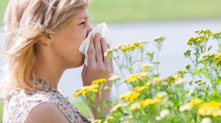 Kritikus Időszak Következik Itt A Segítség Az Allergiás Tünetek Ellen X Blikk