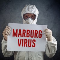 Marburg-vírus: már gyermek is van az áldozatok között