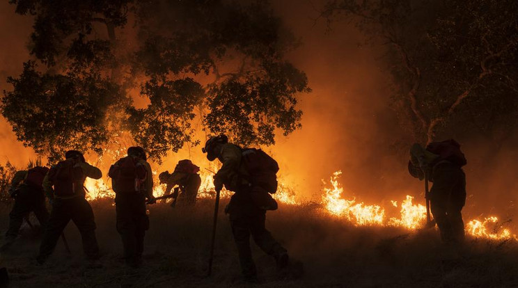Amerikában is fékezhetetlen tűz pusztított /Fotó: MTI/AP/