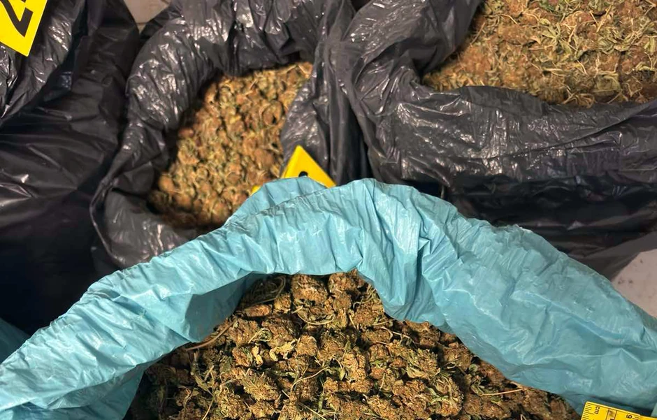 hapšenje, droga Zrenjanin