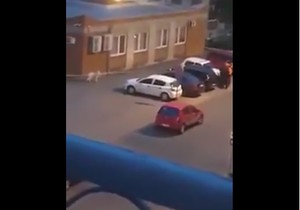 skrinšot, snimak, balša božović