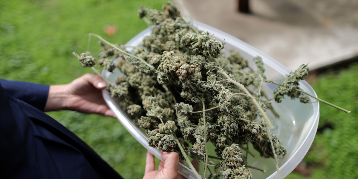 Adelanto Mayor Richard Kerr told LA Weekly he expects revenue generated from taxes on marijuana cultivation to inject millions into the city coffers.