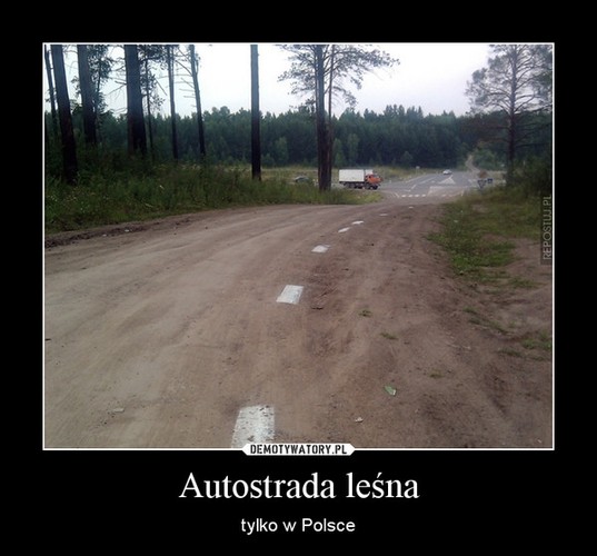 Galeria najlepszych memów tygodnia