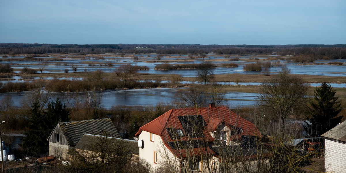 Narew.