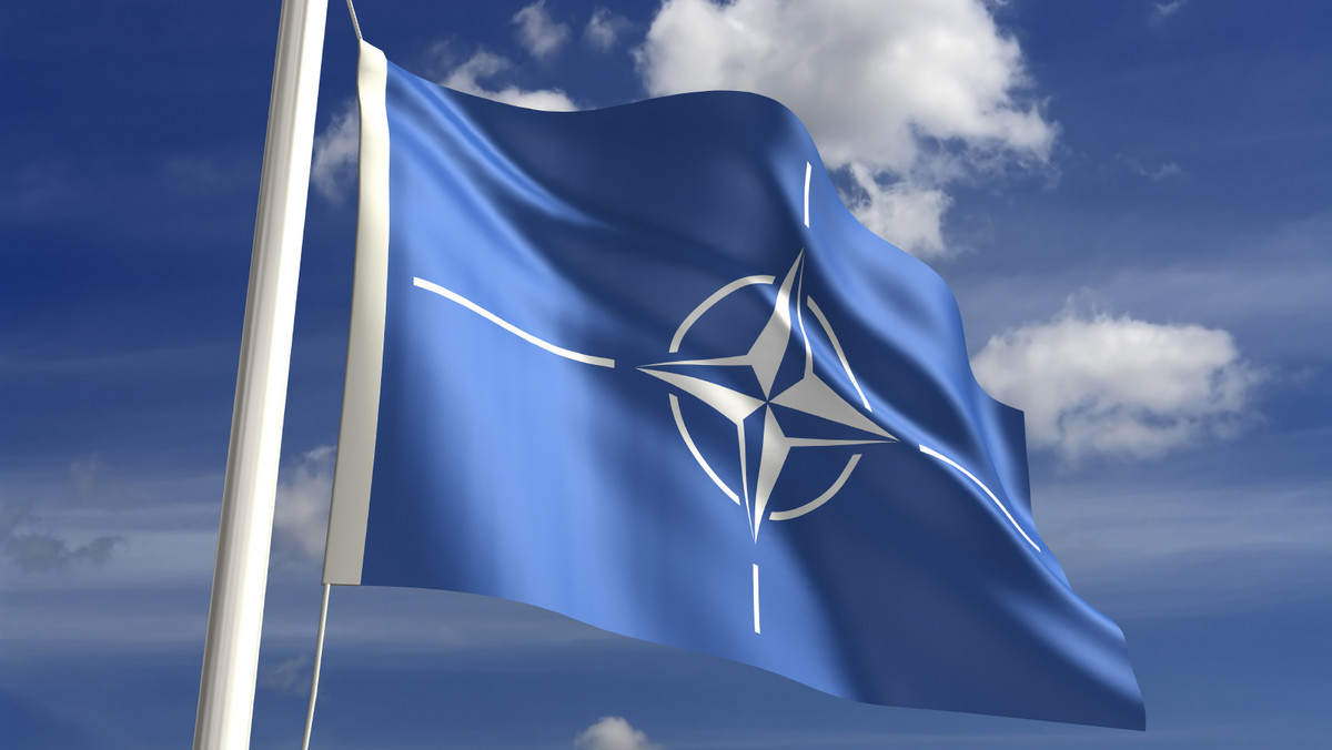 NATO stanowi obecnie największy sojusz wojskowy na świecie. Wzrost aktywności Rosji sprawia, że bezpieczeństwo państw bałtyckich jest w pełni uzależnione od działalności sojuszu. Dziennikarze "The Economist" zastanawiają się, czy w przypadku realnego zagrożenia wojną NATO byłoby w stanie w sposób skuteczny bronić swojej wschodniej flanki i wskazują, co mogłoby stanąć na przeszkodzie.