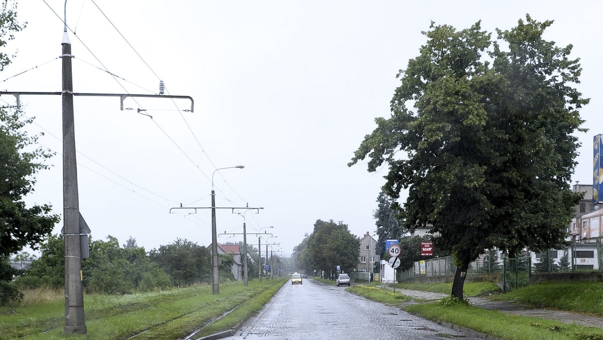 Piękna aleja przy ul. Kostrzyńskiej pójdzie niedługo pod topór. W związku z planowanym remontem drzewa będą stały zbyt blisko jezdni, co ma zagrażać kierowcom. Nie pomogła petycja mieszkańców, którą poparł magistrat. Drogowcy są w tej sprawie nieustępliwi.