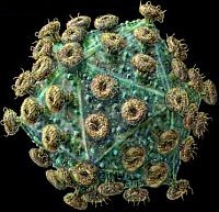 hiv-virus-aids-d00001140aaafae64e0e2