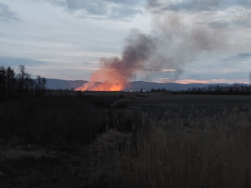 Pogled na zapaljeni ribnjak iz futoških atara