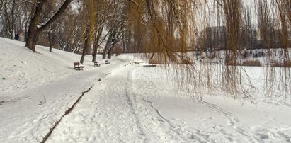 Wyszedł z parku cały we krwi. Błagał o pomoc