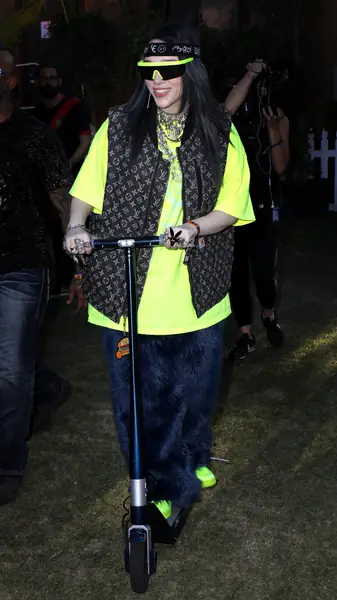 Billie Eilish Coachella 2019 / (Photo by Roger Kisby/Getty Images for YouTube)