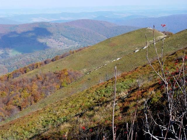 Galeria Polska - Bieszczady, obrazek 18