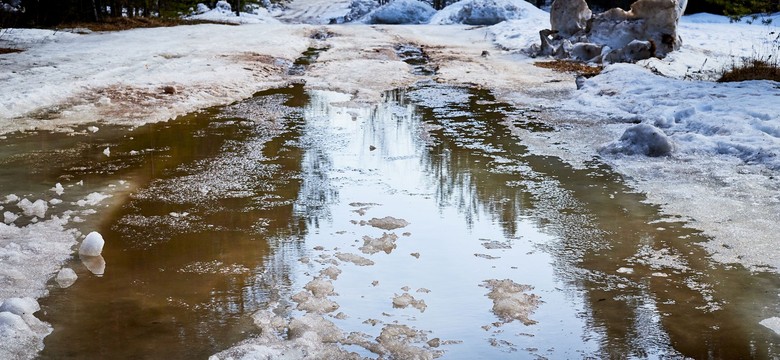 Zima się kończy? Termometry pokażą nawet 10°C na koniec lutego