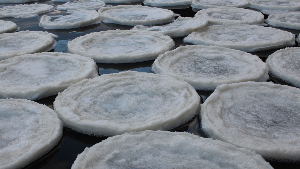 Ice Pancakes Dee 3