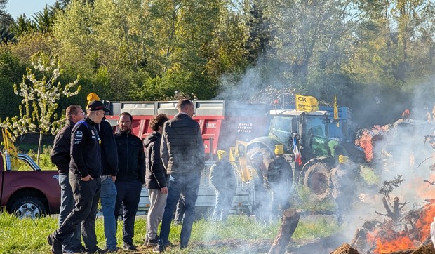 Farmeri