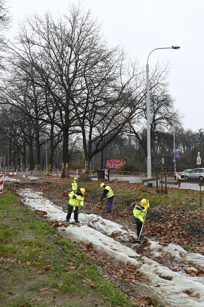 Ruszył remont zatrzymany przez drzewa