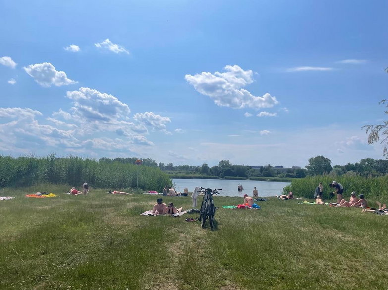 Dzika plaża nad zalewem