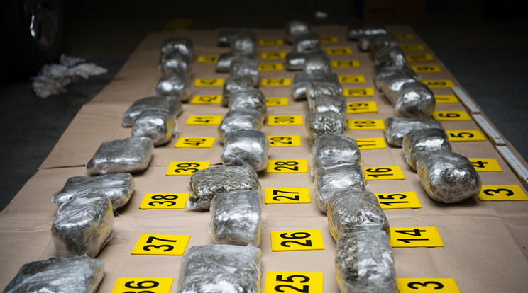Bődületes mennyiségű drogot foglaltak le a rendőrök, esélyük sem volt a kereskedőknek./ Fotó: Police.hu
