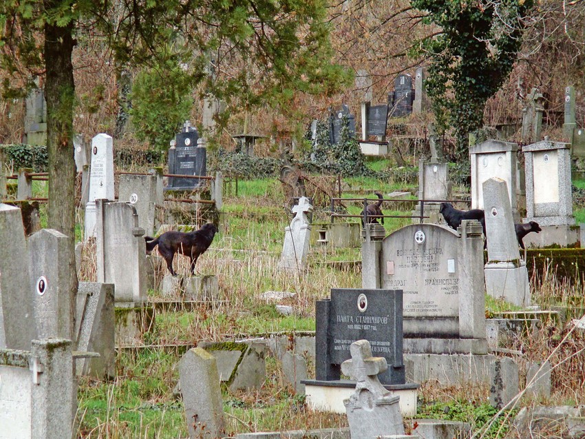 Staro groblje u Nišu