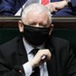 Prezes PiS Jarosław Kaczyński