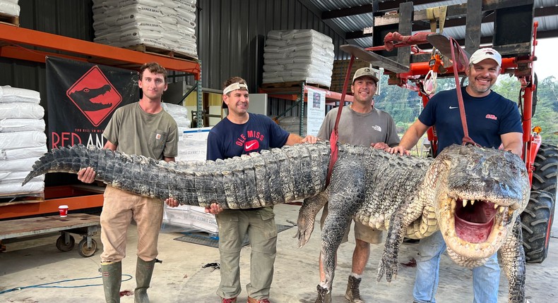 An 800-pound gator was caught in Mississippi — and the record-breaking ...