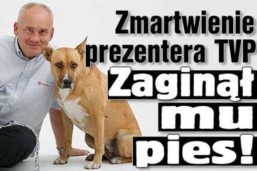 Zmartwienie prezentera TVP. Zaginął mu pies!