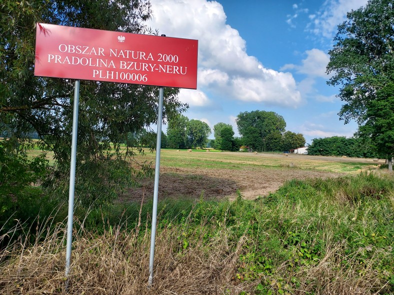 Marwe ryby padają w odcinku Neru na terenie należącym do Obszaru Natura 2000