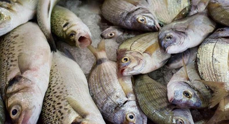 Fish import to Nigeria drops by 5.9 percent from ₦3.4 billion to ₦3.2 billion in 1 year