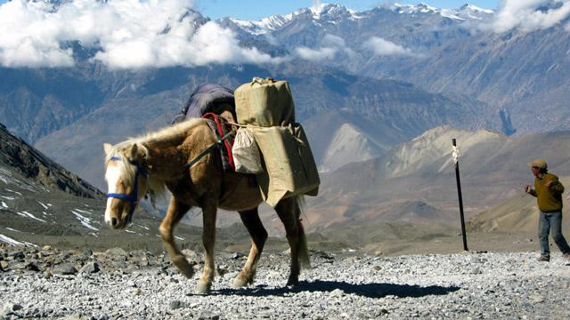 Galeria Nepal - Trekking pod Annapurną, obrazek 31