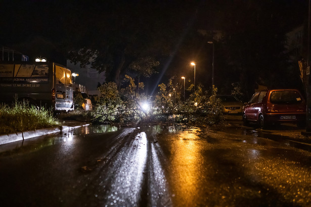 Skutek nocnej burzy w Płocku