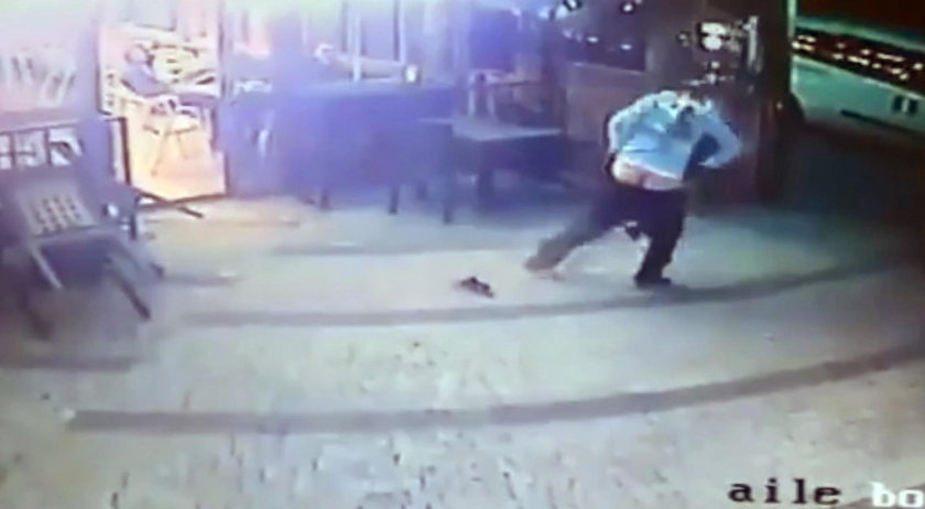 Turcja: kot zaatakował mężczyznę z psem. Ściągnął mu spodnie
