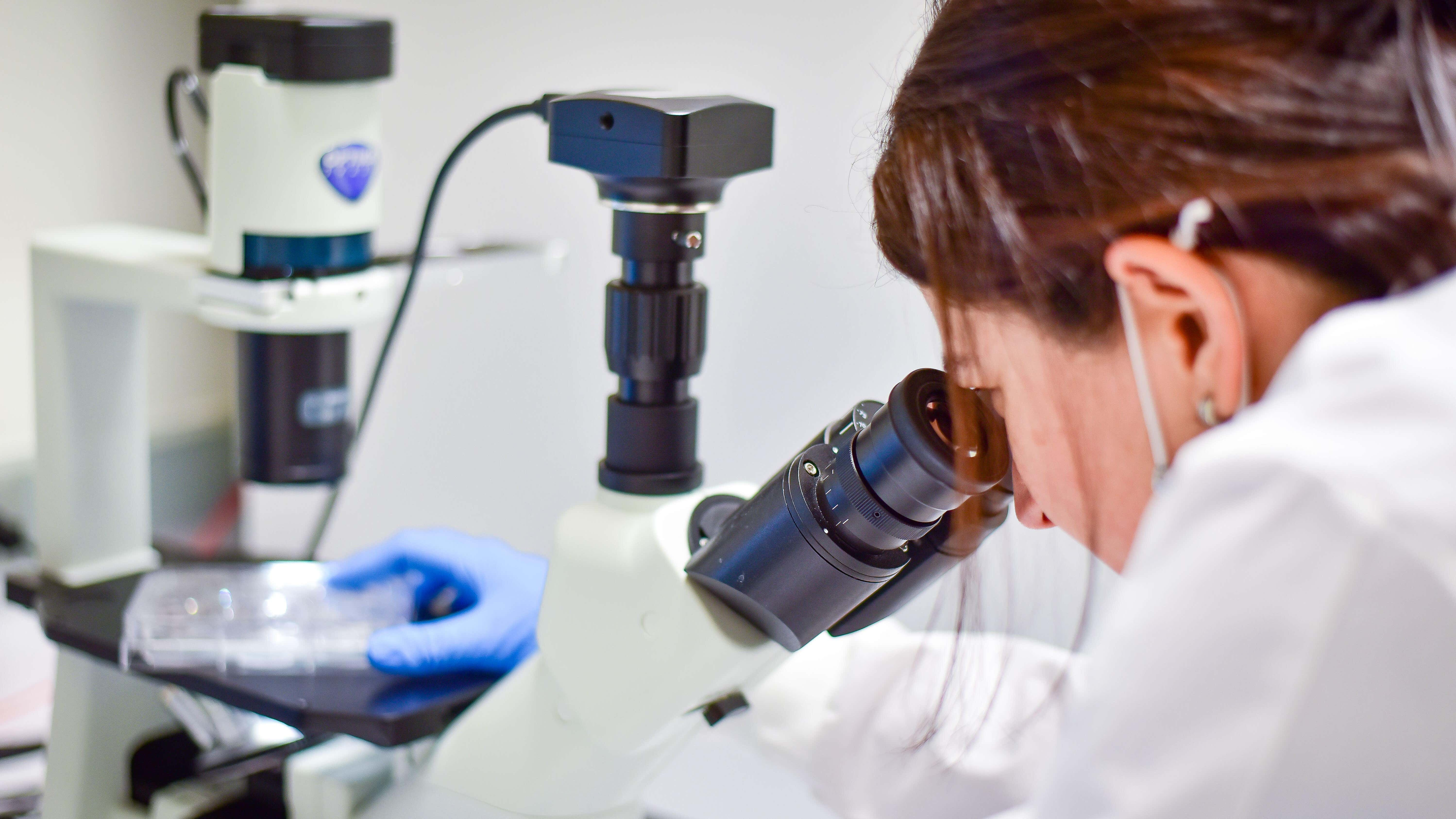 Glasgow team discovers blocking NPM1 could safely stop bowel, liver cancer