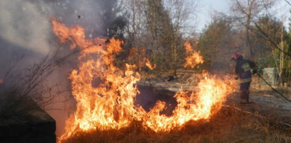 Pożar torfowiska w Myszyńcu
