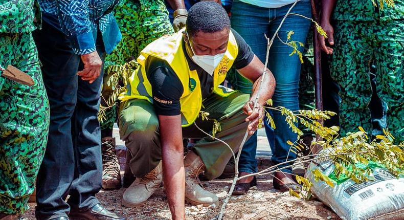 Green Ghana Campaign