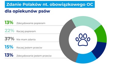obowiązkowe oc dla właściciel psów. więcej osób doświadcza pogryzienia przez psa niż urazu w wypadku drogowym